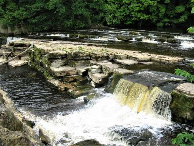 Below the castle, this is the Swale at Richmond, hurtling over rocks, plunging over low falls - dark, rich brown after rainfall with the silt and vegetation wrenched from its roots upriver