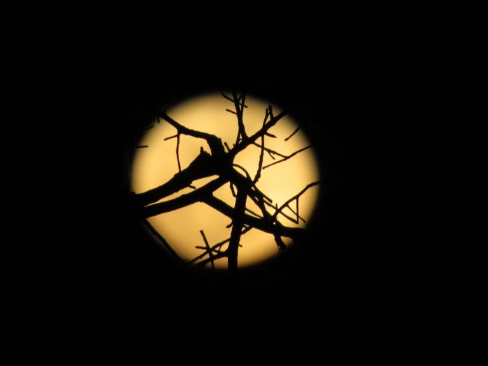 But there is two hard things- that is, to bring the moonlight into a chamber; for, you know, Pyramus and Thisby meet by moonlight Source: A MIDSUMMER NIGHT'S DREAM