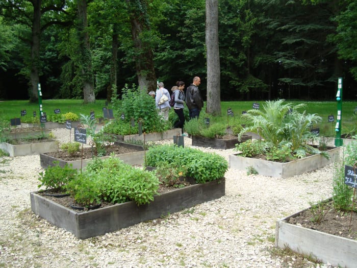 Antonin's garden at the chateau de Valencay with more than 300 Aromatic plants. The garden is named after Tayllerand's chef, one of the best cooks at that time