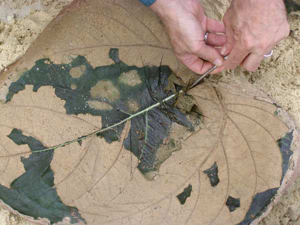 Scrape off any bits of leaf carefully from your molded concrete using your fingers or a soft manicure stick.