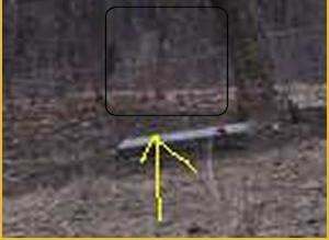 Bachelors Grove Cemetery, Chicago Illinois. See the true ghost photo above. You can clearly see the ghost in the photo above.