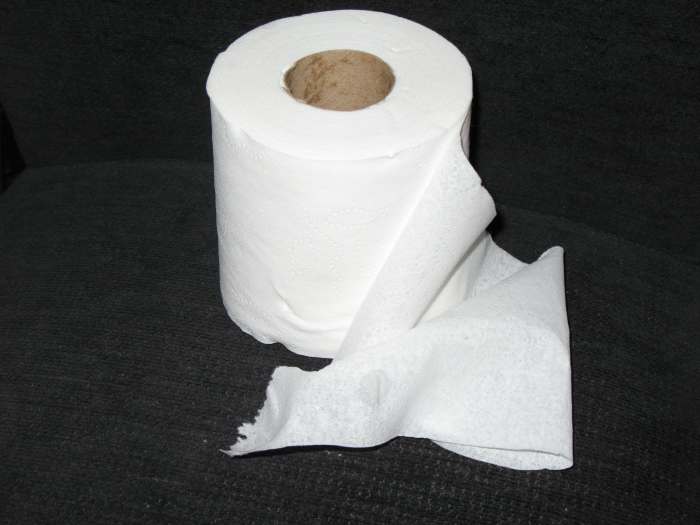 Is Your Toilet Paper Itching You? Ow! HubPages
