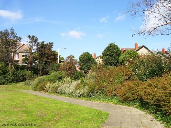 Shrubbery edging Banks Road where you'll find many shops, cafes, restaurants and private residences.