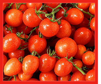 Homegrown Cherry Tomatoes Are Oh So Delicious when you grow them indoors in the middle of winter. Please post a comment below now.