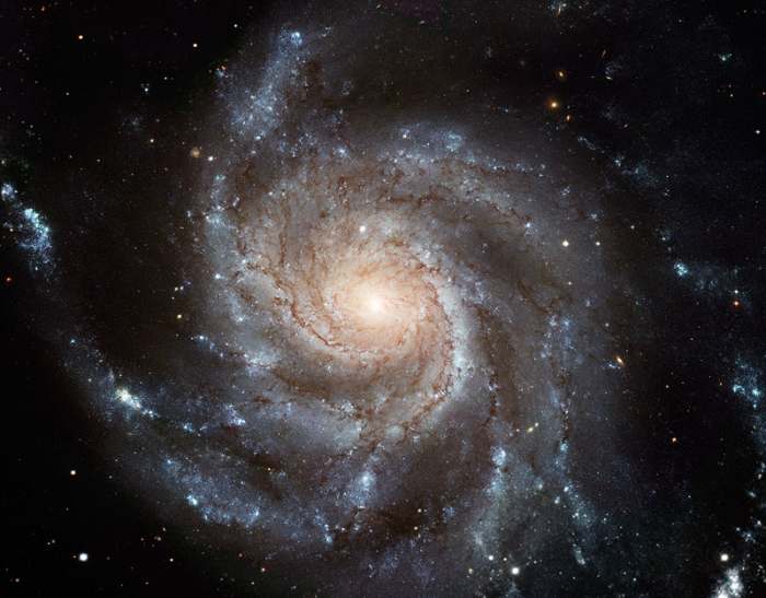 God created the universe ex nihilo--out of nothing. Apparently, the president is mastering the same divine art of creation ex nihilo.