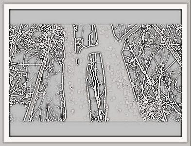 It looks as if there were a giant in the wood. Taken in the Ozark forest, April 2014. Intricate as the Mind.