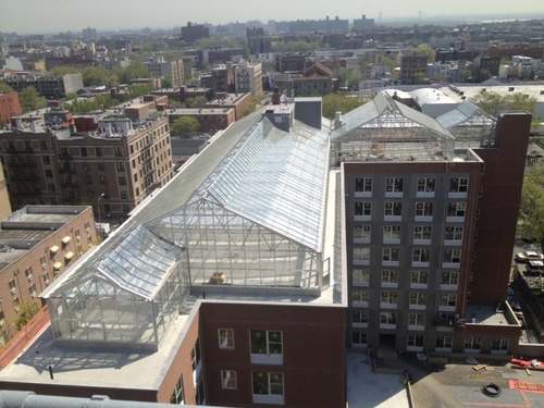 Known as “Arbor House”, the nearly $38 million project built on land purchased from the New York City Housing Authority’s Forest Houses property in Morrisania boasts a hydroponic rooftop farm for growing fresh vegetable.