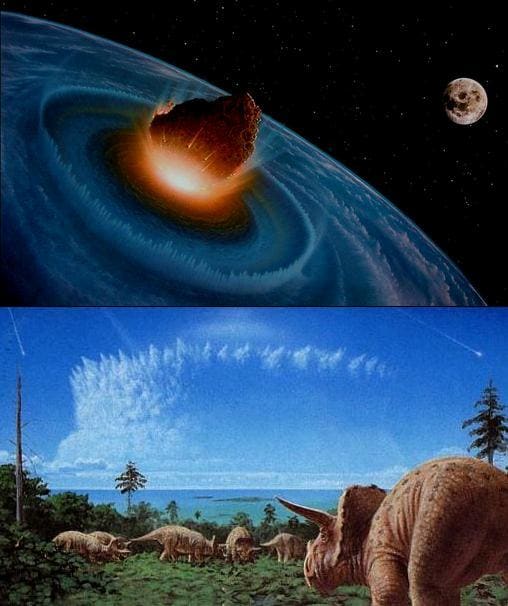 Asteroid strikes Earth. This generates a cloud of dust that blocks out the Sun. No photosynthesis. No plants. No Triceratops. No T-rex.