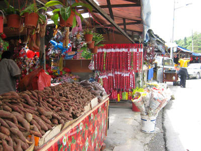 The stallholders were happy to tell me all about these native potatoes and how to cook them.