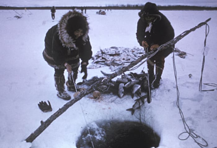Inupiat fishing for sheefish at Selawik National Wildlife Refuge, Alaska
