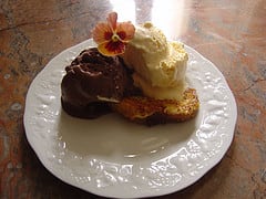Decorate with a fresh or sugared edible flower and served on Limoges porcelain plate. This illustration is from my French Toast recipe