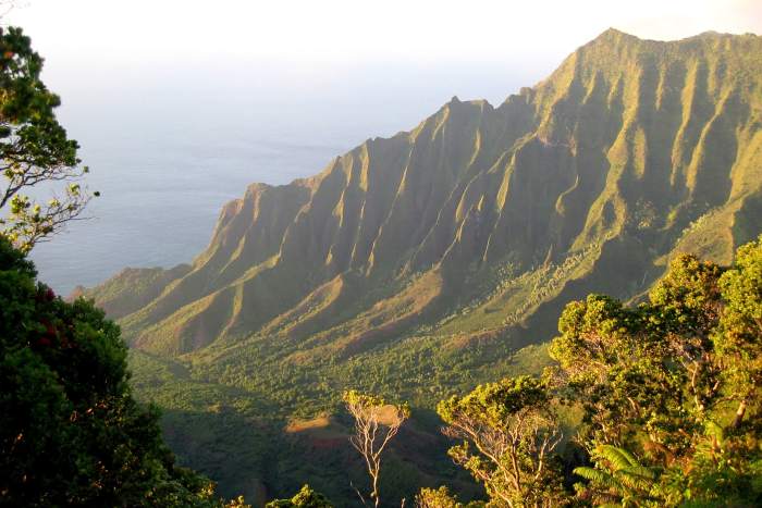 Koke'e State Park, Kauai Island, Hawaii. This is a hikers paradise.