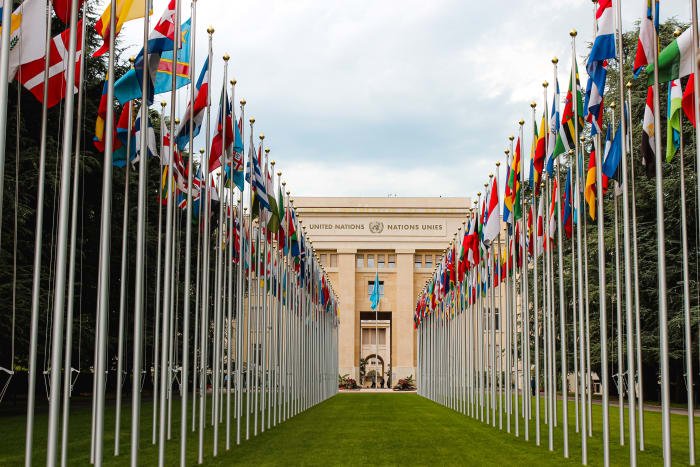 The World Bank and the IMF are both affiliated with the United Nations and share some of the UN's goals.