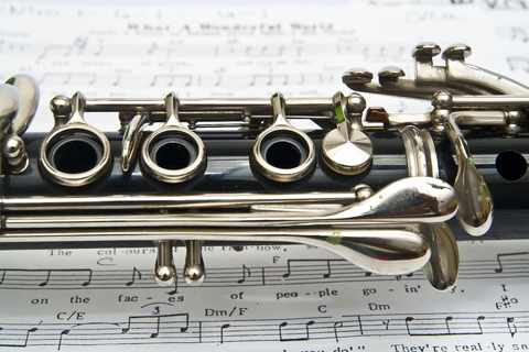 A soft polishing cloth used regularly on clarinet keys will prevent tarnishing caused by the oil from a player's hands.
