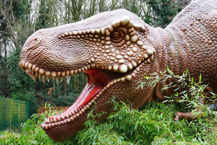 This photo symbolizes the main theme of this episode which has to do with dinosaurs, cavemen, and prehistoric times.