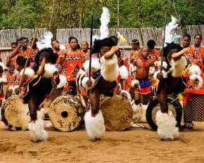 Mantena cutural village know as"Ligugu Lemswati"(the pride of the Swati people" is where anyone wanting to learn about the Swazi culture can go.