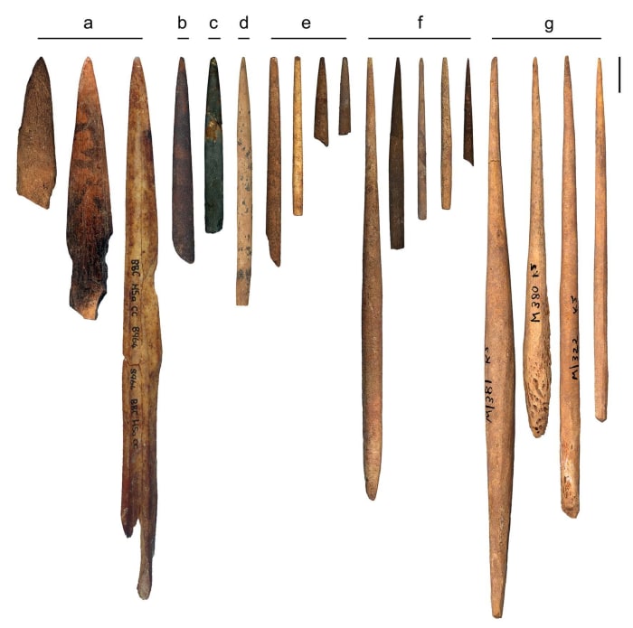 Bone points from various deposits at Early Modern Human sites in South Africa. From the blombos Cave (a) Peers Cave (b) Sibudu Cave (C) Klasies River (d) Later Stone Age Cottage Caves (e) Jubilee Shelter (f) Iron age at Mapumgubwe (g) Scale Bar