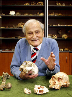 Prof. Phillip V. Tobias, Anthropologist siting in front of the skull and jawbone of the Taung Child, a famous specimen of Australopithecus Africanus