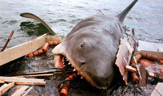 The scene from the classic movie JAWS where the villainous shark jumps onto and starts eating the stern of the boat. Thankfully, this was not the case in this weeks episode off of Seal Island