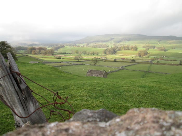 Further along, the view north-west, a network of fields and grazing pasture close to the River Ure - 'rest your eyes on shades of green' as the 'Small Faces' sang in 'Itchycoo Park', something to do with all that chlorophyll
