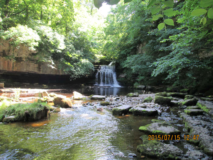 Cauldron Falls with the pool splits Walden Beck at the back of the village - fancy a dip? There's another drop below the arched bridge that empties into a lower pool, a handy place to catch salmon I've been told