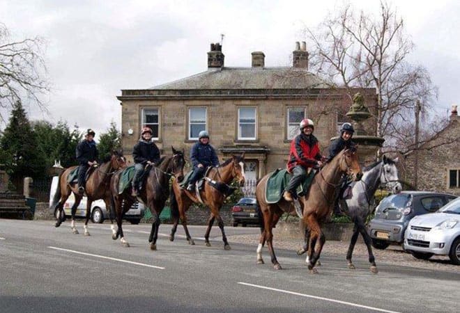 A Mickey Hammond picture of racehorses returning on the Coverdale road from the gallops on the moor