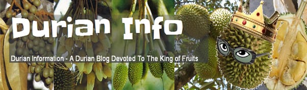 A blog about durians. Everything about this tropical fruit from the hundreds of different cultivars or varieties to how it is planted and managed on a commercial scale.