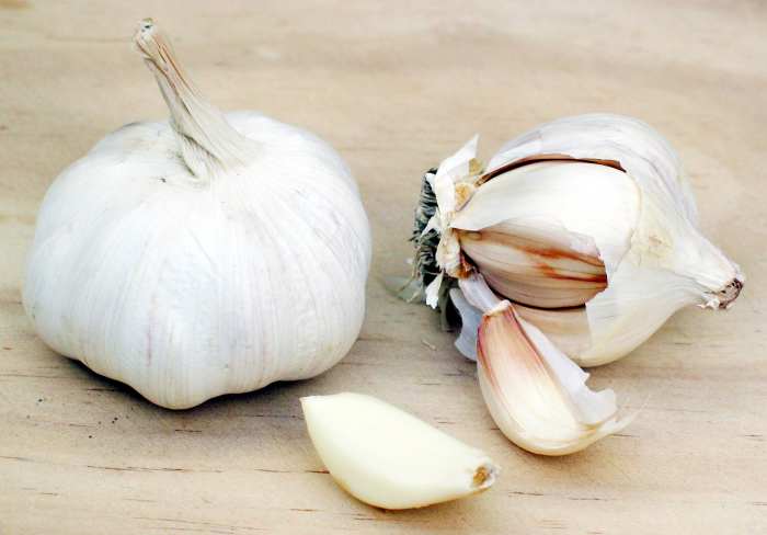 Of course, literally eating garlic can give you an odor of garlic. The sulfur from it can stay in your system for quite awhile.