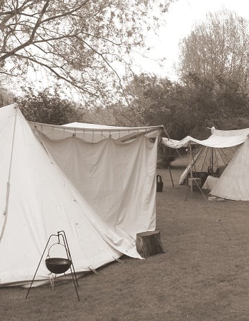 Vikings were able to survive in harsh conditions and brought war to those they wished to replace.