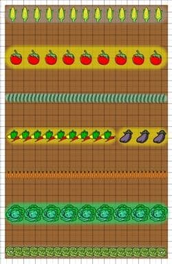 Vegetable Garden Layout - HubPages