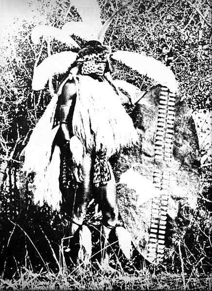 Young Zulu warrior, photographed in 1860. All men younger than 40 was called to service in three age regiments, each with recognisable headgear and shield.