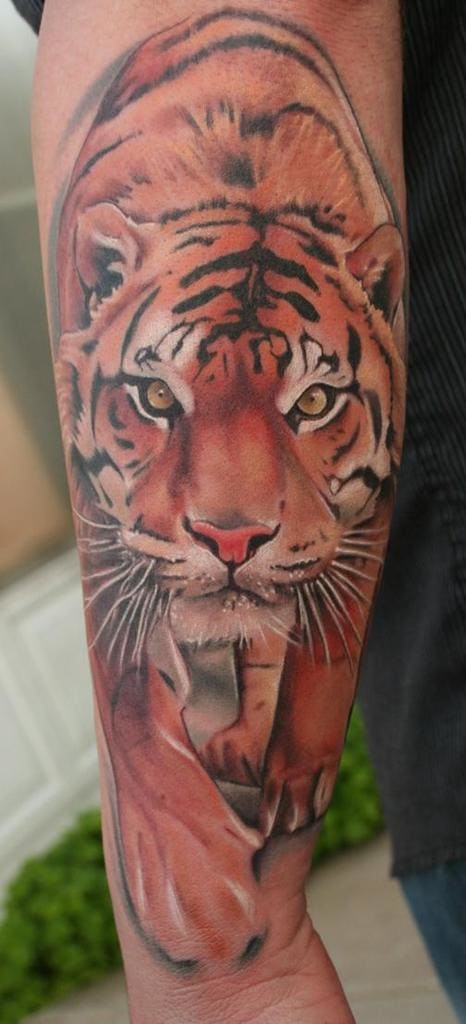 This tiger looks like he is going to jump right out and get you. The eyes are so alive.
