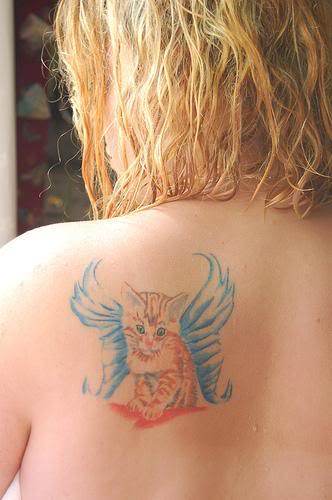 What a cute kitten! The wings remind me of an enchanting book I read with my son called "Catwings".