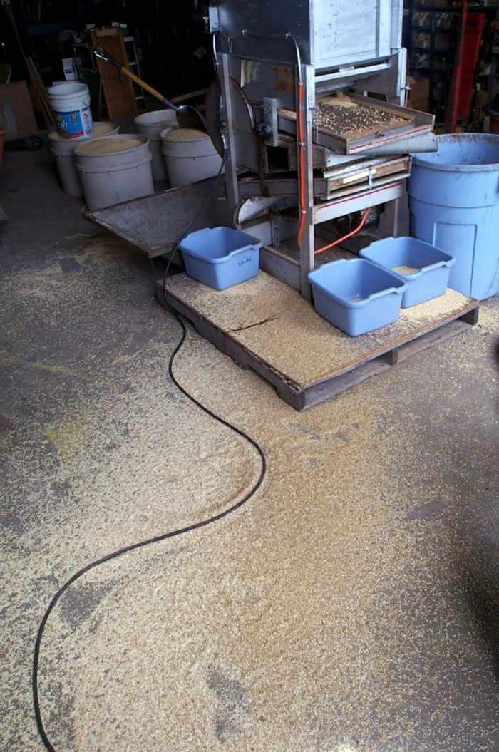A series of tubs, a hopper, and a barrel catch the finished grain and debris. The tubs at the back (facing us) are to catch spillovers, and their contents will be run through again. The grain on the floor can be swept up and run through.