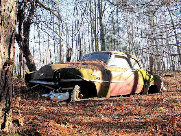 1951 Chrysler Windsor These colors caught and held my attention as I explored among the carcasses of junk cars. This old Chrysler is my favorite car in this open air museum of man's most beneficial and controversial invention.