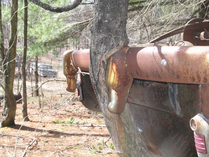 How long do you think this one has been quietly sitting on its roof in the woods?