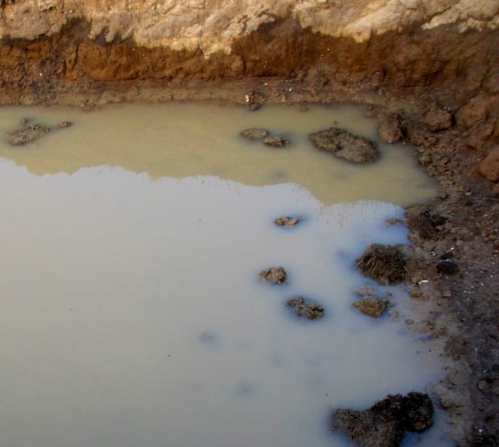 A large puddle of muddy water, illustrating what many people think of when they hear that life arose from a primordial soup of simple chemicals/compounds.