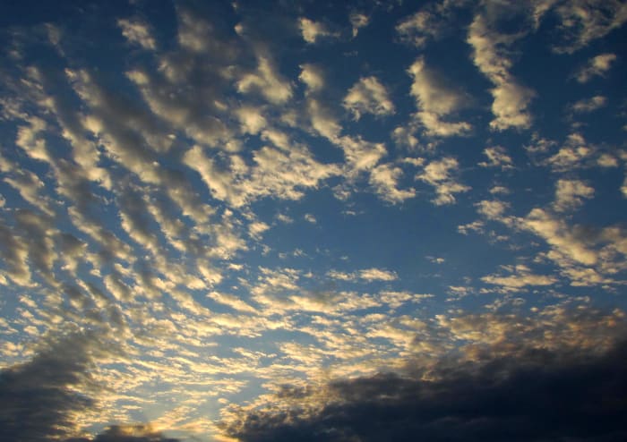 In a word: no. So, if a Creator is not needed for life to begin (or the universe, for that matter), then what is left for them to create? Picture is of the sky near sunset in Wolf Lake, Indiana.