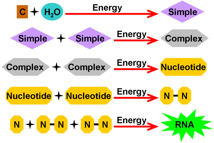 A diagram showing a more elaborate example of Abiogenesis, where compounds can bind together in the presence of energy, forming increasingly complex molecules, leading to the formation of nucleotides and eventually simple forms of life, like RNA.