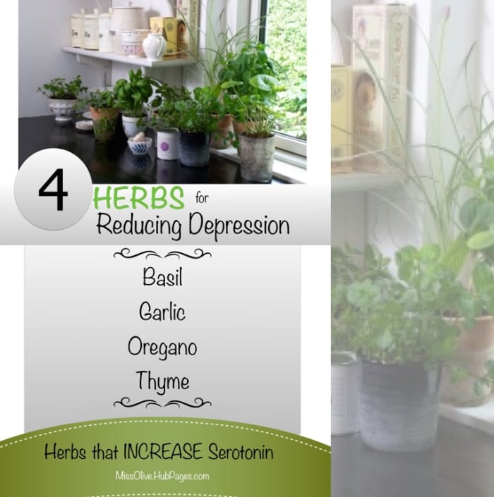 Keep these four herbs in the kitchen and use them in your recipes to help reduce depression: Basil, Garlic, Oregano and Thyme.