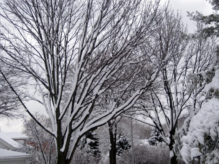 Don't let the Milwaukee winters scare you! You can still get out and have some fun during the cold winter months.