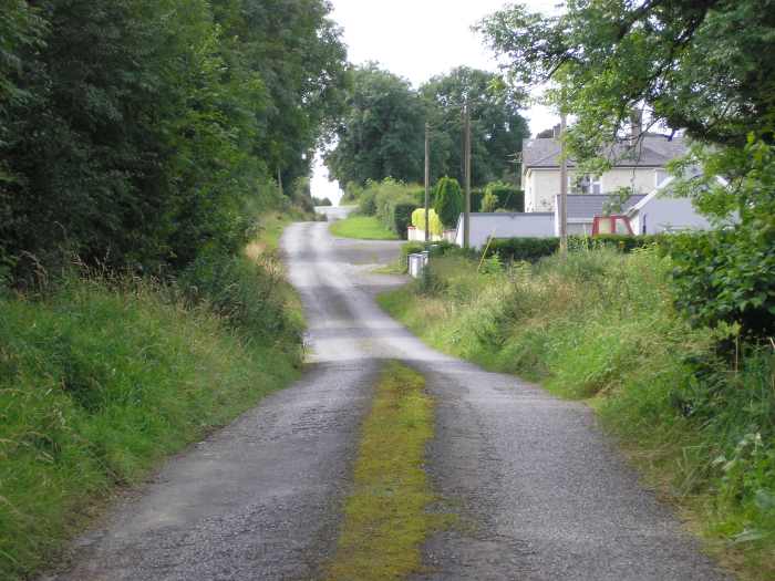 along our road there are thousands of nettles providing an unlimited supply of nettles for homemade products free of charge.