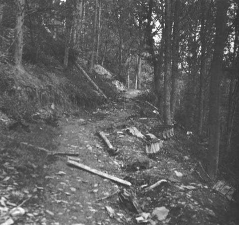 The infamous Kall Trail. American troops battled over this trail for months, even trying to get tanks and tank destroyers through. Note the thrown tracks to the right.