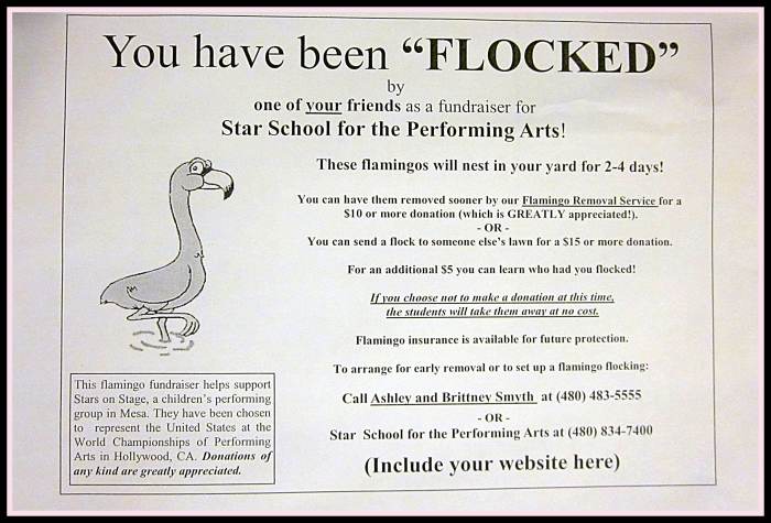 Be creative when making your flocking forms and be sure to let everyone know who is benefiting from the money you raise. Do an image Google search for "Flamingo Flocking Forms" to see more examples.