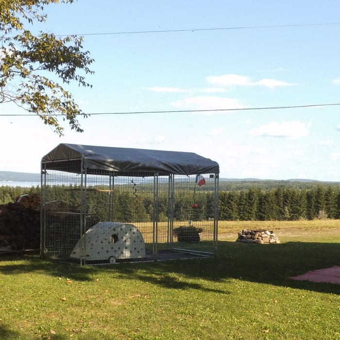The owners wanted their cat to enjoy the outdoors when they were camping. Inside the cat pen is a cat-sized camping trailer.