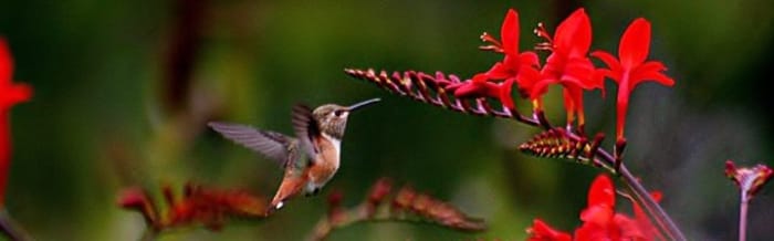 the-essence-of-life-a-poem-by-richard-mawby