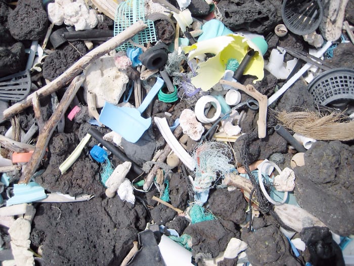 Waste on a Hawaiian beach