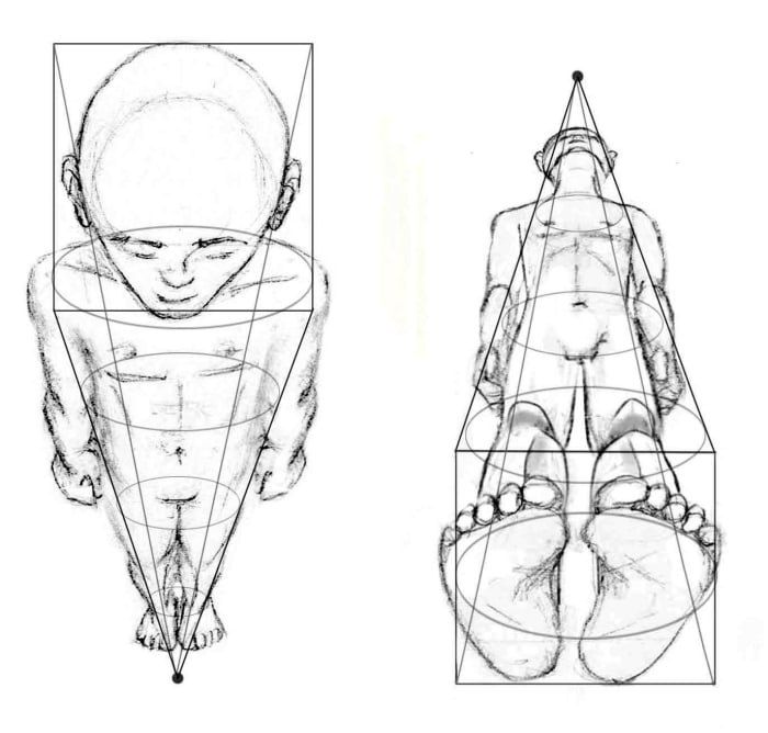 Drawing the Human Figure: Perspective & Foreshortening - HubPages