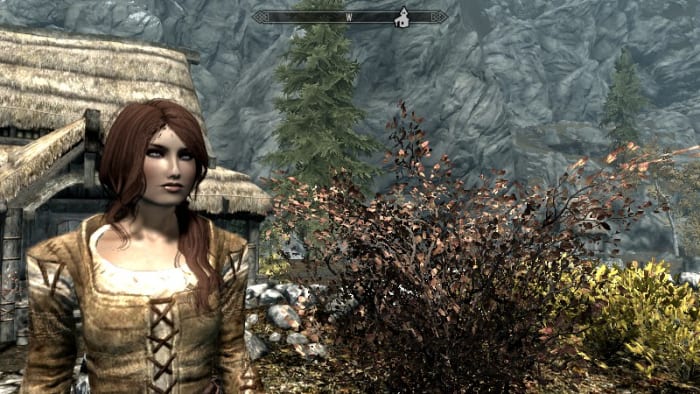 My new Breton mage created using the Race menu mod, ready to explore Skyrim. Picture courtesy of Skyrim Nexus, Bethesda and Zenimax.