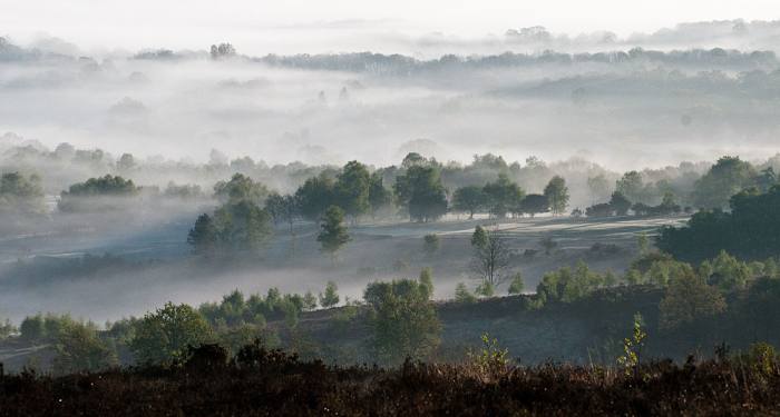 Ashdown Forest, part of the Weald in Sussex, now under threat from fracking proposals supported and actively encouraged by the UK government